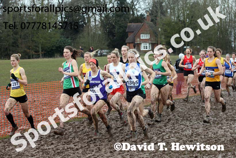 Senior womens 2018 British Inter Counties Cross Country Champs., Prestwold Hall, Loughborough. Photo: David T. Hewitson/Sports for All Pics